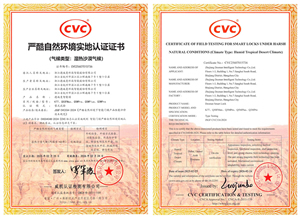 权威认证！德施曼智能锁斩获迪拜极端环境认证